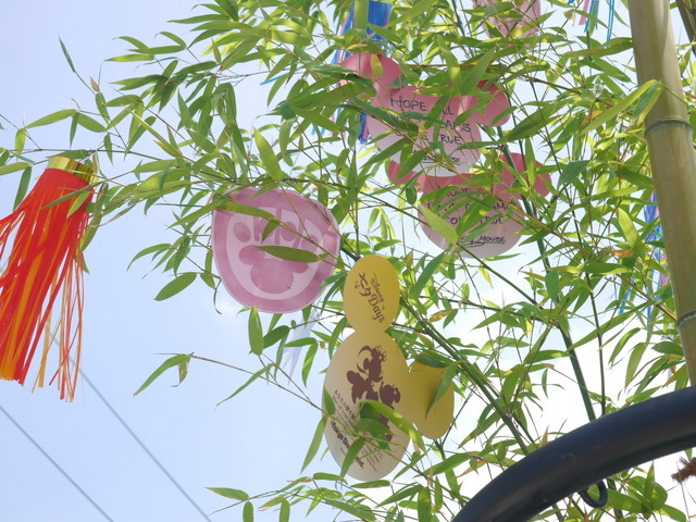 東京ディズニーシー「ディズニー七夕デイズ」