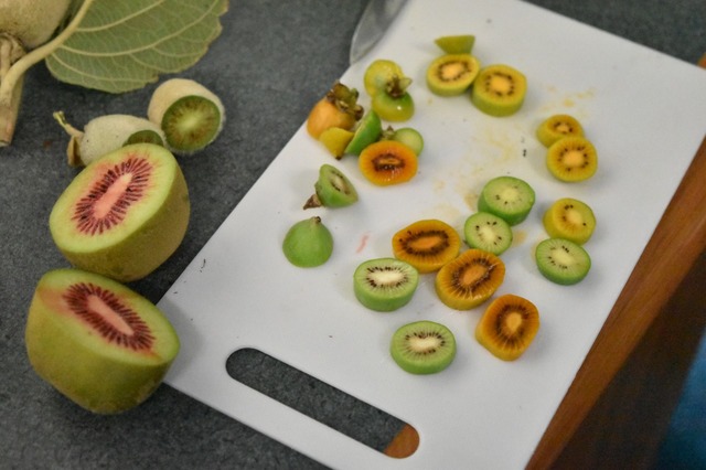 小さいキウイは唐辛子並みに激辛！！