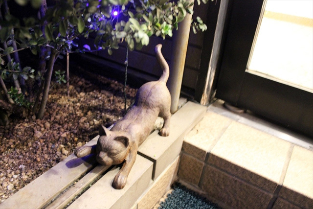 可愛くてキュンキュンする「吉祥寺ねこ祭り」の猫たち