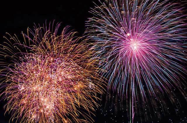 2015年「必見花火大会」厳選21／エキサイティング花火2015 第40回 江戸川区花火大会