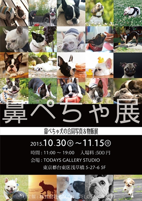 「鼻ペちゃ展」 （TODAYS GALLERY STUDIO）