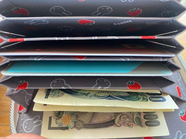 【宝島社　miffy カードが見やすい じゃばら式ミニ財布 BOOK WHITE】実際に使ってみた感想は？