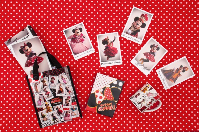 レジャーシート 670 円｜マグ 1,500円｜ポストカードホルダー（ポストカード16枚）2,000 円