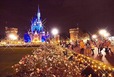 何気ない花壇もクロスフィルターでクリスマスっぽく撮れる…？ ©Disney