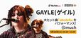 TikTok LIVE『GAYLE LIVE with MuchMusic 
