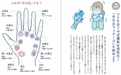 島田秀平さんに聞いてみた 運気が上がる 手相の変え方 1 3 Mimot ミモット