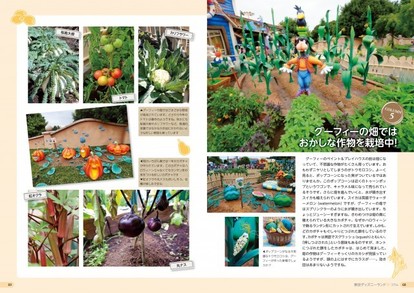 トリビア満載のtdr公式本 東京ディズニーリゾート植物ガイド でパークのカメラ散歩が100倍楽しくなる 3 4 ディズニー特集 ウレぴあ総研