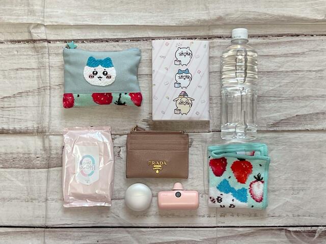 これだけのものが収納可能!