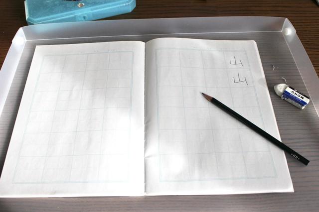 【セリア】リビング学習マット／100円