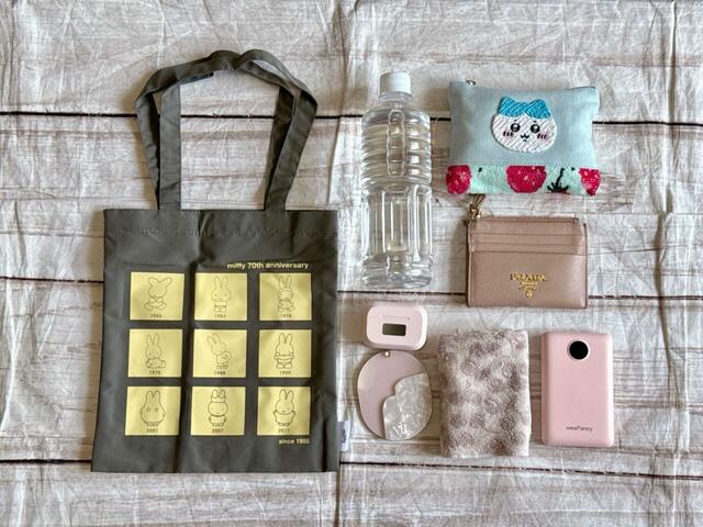 お散歩やちょっとしたお出かけにぴったりなサイズ感!