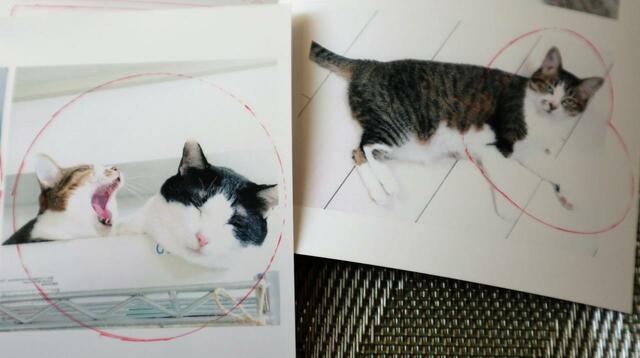 【セリア オリジナルフォトインキーホルダー】フタ部分をなぞって切り取り線を付ける