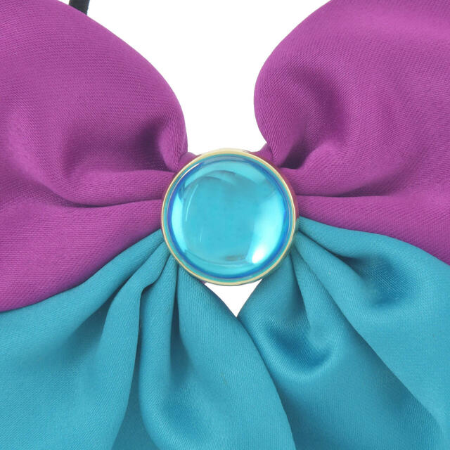 ヘアポニー リボン DISNEY FROZEN 2,400円