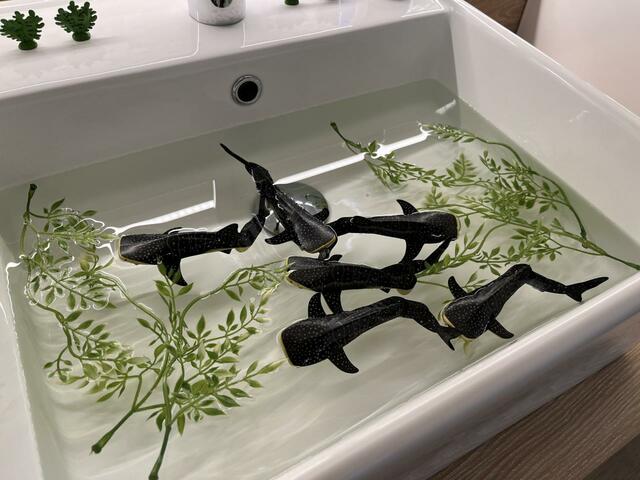 【星野リゾート BEB5沖縄瀬良垣】洗面所のサメたち