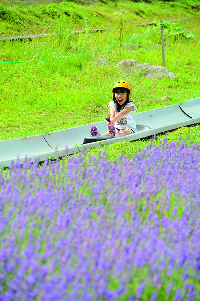 タングラム斑尾　スーパーボブスレー