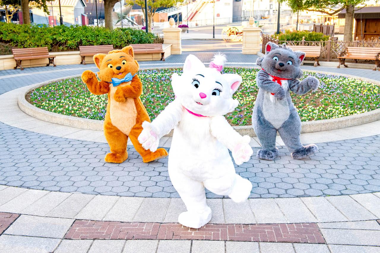 猫の日 東京ディズニーリゾートでマリーがお散歩 時間限定デザートセット も新登場 1 2 ディズニー特集 ウレぴあ総研