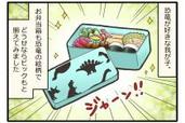 【実録】ママも予想外！本当にあった“子どものお弁当”トラブル #1「大ゲンカの原因」