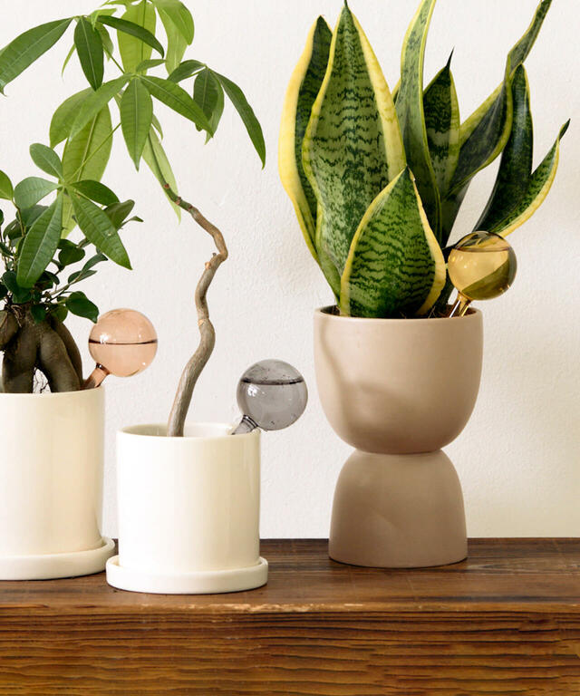 【3COINSのインテリアグッズ売れ筋ランキング 9位】「ウォーターディスペンサー」330円（税込）