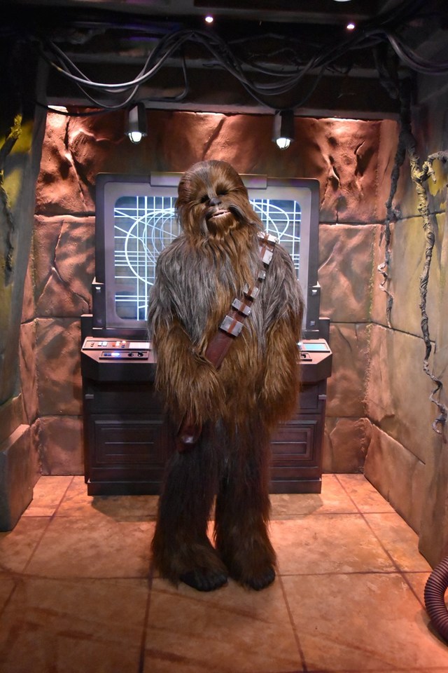 力強いハグで暖かく出迎えてくれます、チューバッカ。