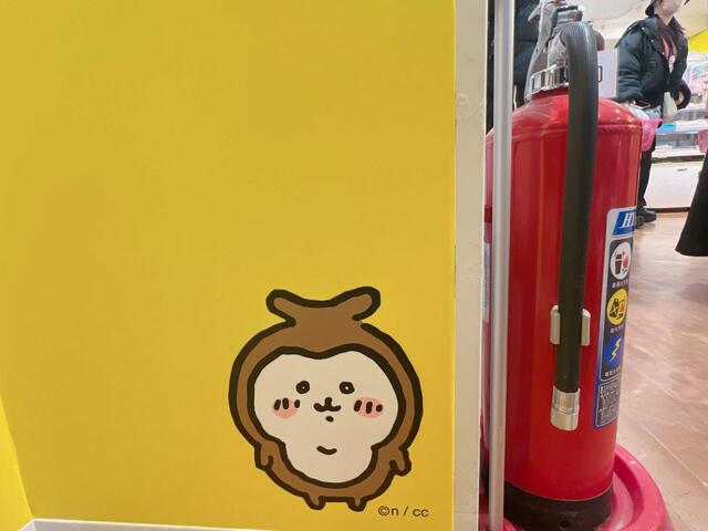 ここにもカブトムシが。全身の姿もキュート！