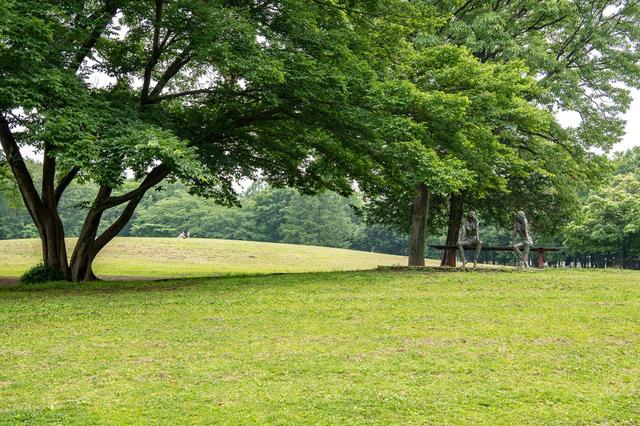 【府中の森公園】緑豊かな大きな広場
