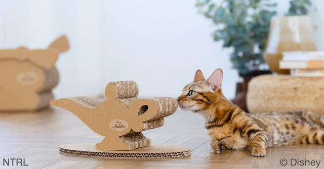 キャットトイ ディズニーシリーズ / アラジン 5,000円