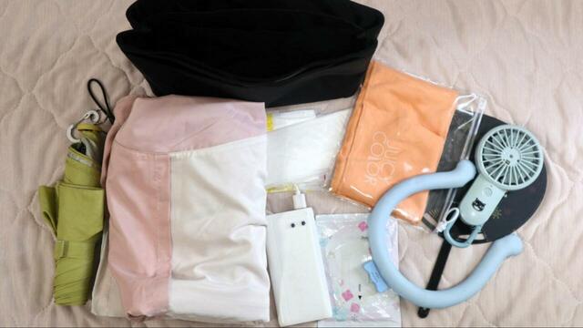 【無印良品 ナイロンバッグインバッグ】屋外ライブ用の荷物（折りたたみ傘、羽織り、モバイルバッテリー、暑さ対策グッズ、ごみ袋など）を入れてみると…⇒