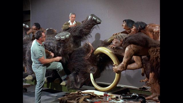 『イマジニアリング~夢を形にする人々』