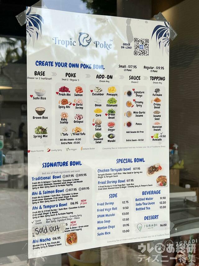 コオリナステーションのポケボールのお店