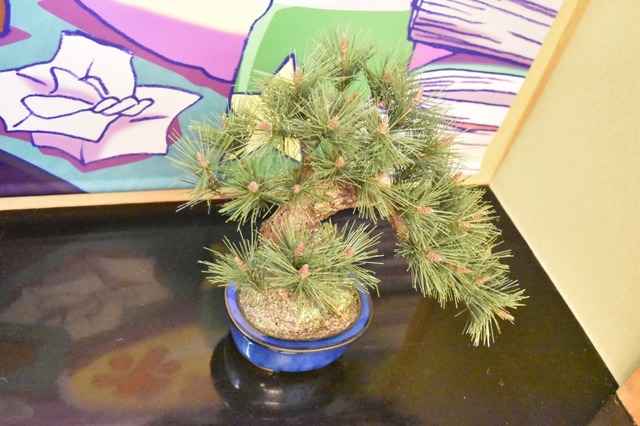 床の間には松が!