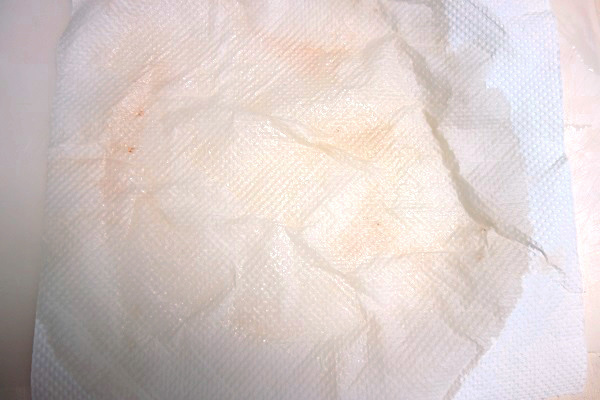 7.キッチンペーパーが赤くなっている箇所は、刺身から出た血液や組織液です。これが生臭さのもとなんですね