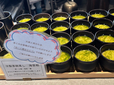 【焼鳥IPPON⁺ Tokyo】冷製茶碗蒸しはひとり1個