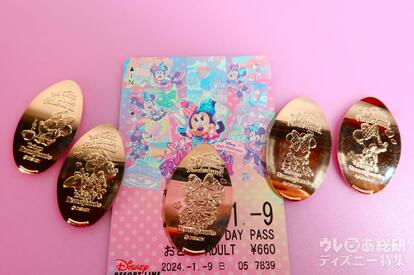 ペニー　　ディズニー　ワールド　フロリダ　アーケード　スーベニアメダル ペニー コイン ディズニー ワールド フロリダ アーケード スーベニア