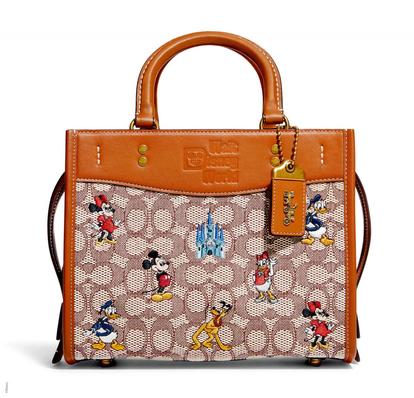DISNEY x COACH ローグ 25 シグネチャー エンブロイダリー 未使用級