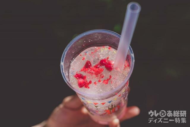 スーベニアタンブラー｜“ドリームゴーラウンド ” スペシャルメニュー