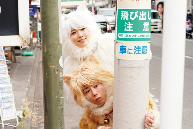 『トラさん～僕が猫になったワケ～』2月15日（金）公開 配給：ショウゲート ©板羽皆／集英社・2019「トラさん」製作委員会 