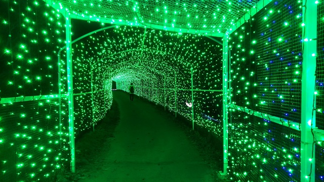 さがみ湖イルミリオン