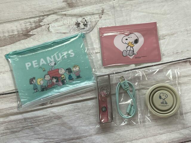 セット内容はこちら