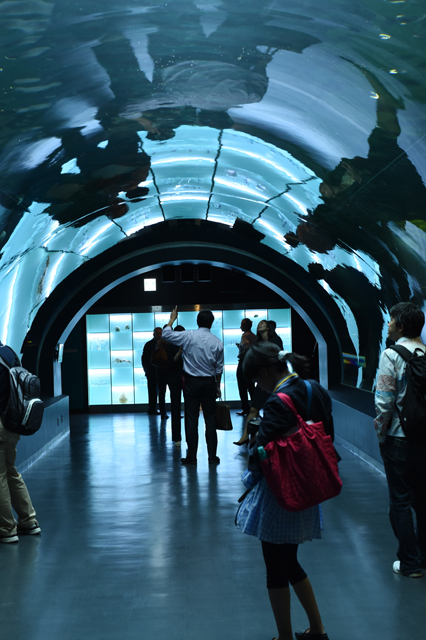 ワンダーチューブ / エプソン アクアパーク品川