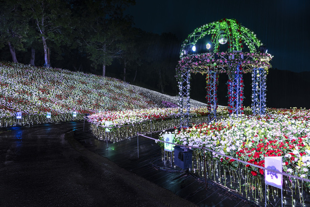 アパリゾート上越妙高「アパリュージョン2019」フラワーロード