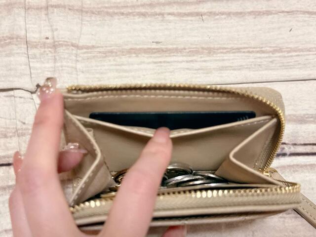 内側のカード入れにもカードを収納。タイトな作りですが取り出しやすい！