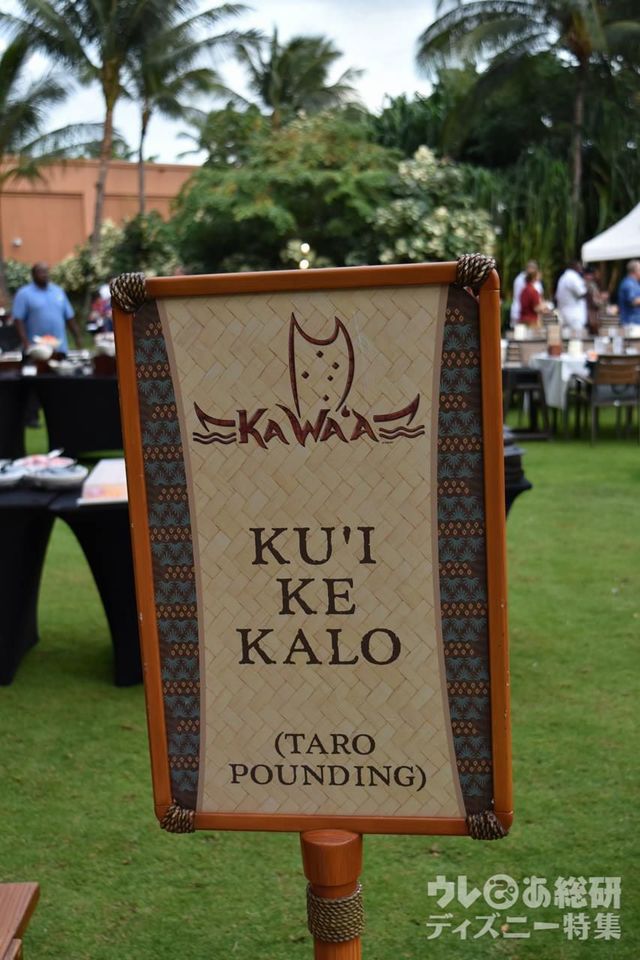 タロイモをすり潰す 撮影 / 筆者