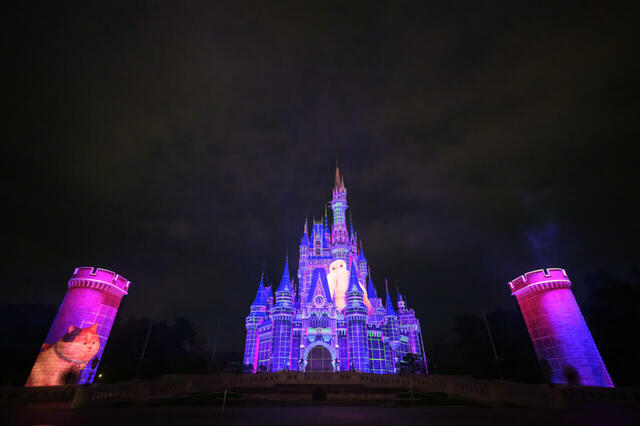東京ディズニーランド「Reach for the Stars」