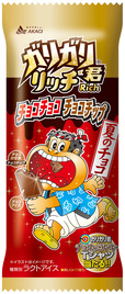 ガリガリ君リッチチョコチョコチョコチップ