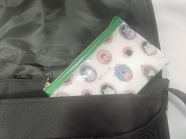 小さめバッグやポケットにも、すっぽり入るのもGOOD