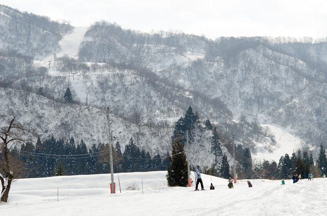 ゲレンデは起伏に富んでいて、なかなかおもしろい｜舞子スノーリゾート