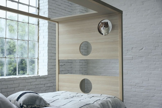 【フランスペット】「キャットタワー付きベッド」