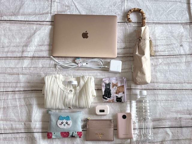 これだけのものが収納可能！