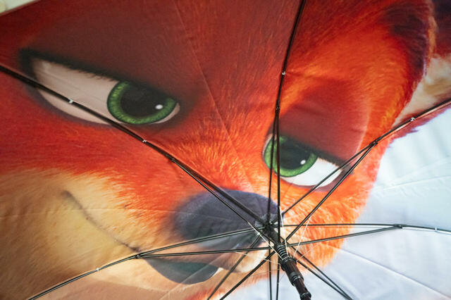 長傘 ジャンプ式 RAINY DAY 3,500円