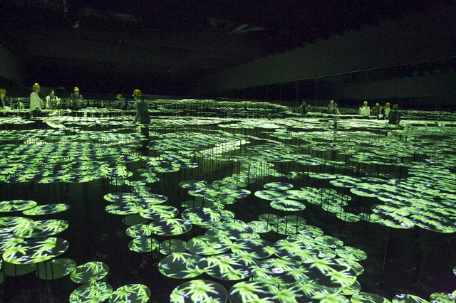 棚田をイメージした空間