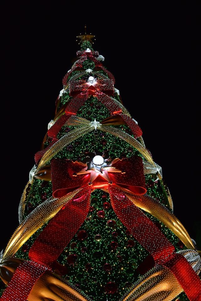 一生に一度は見たいクリスマスツリー｜ユニバーサル・ワンダー・クリスマス｜ユニバーサル・スタジオ・ジャパン